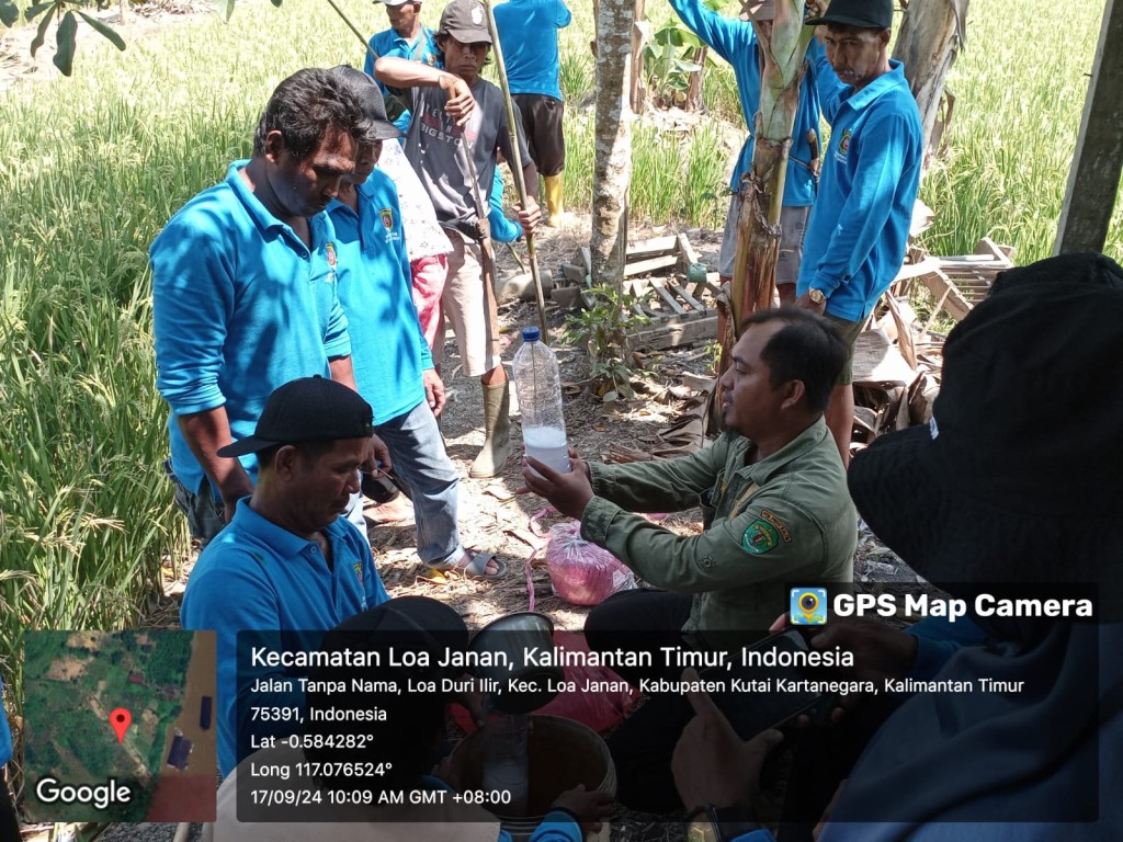 Pelaksanaan sekolah lapang (SL)