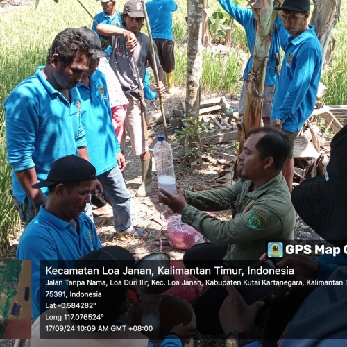 Pelaksanaan sekolah lapang  (SL)