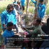 Pelaksanaan sekolah lapang (SL)