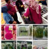 Pengawasan Keamanan Pangan Lanjutan