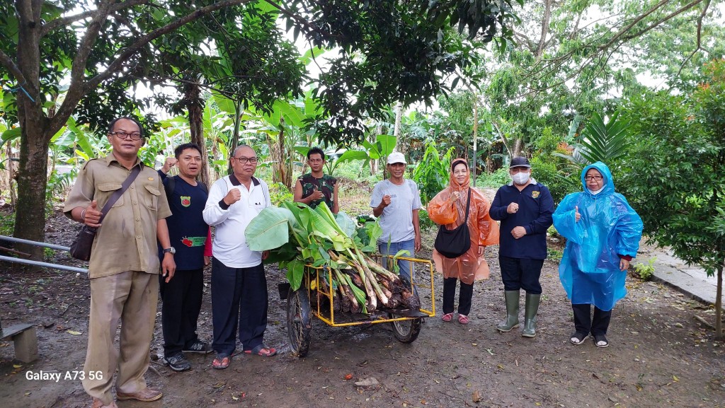 Penyerahan bantuan bibit