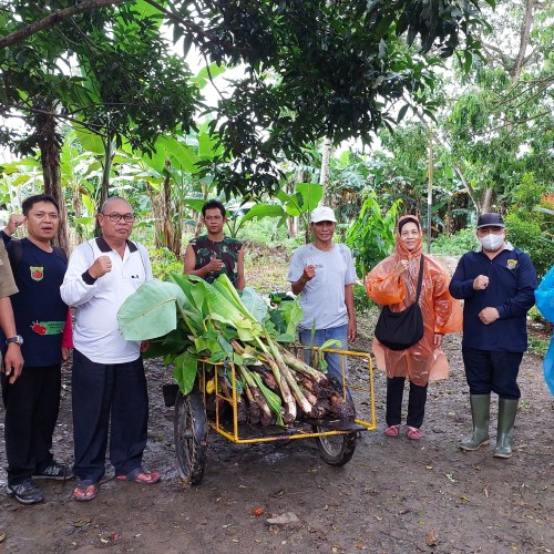 Penyerahan bantuan bibit
