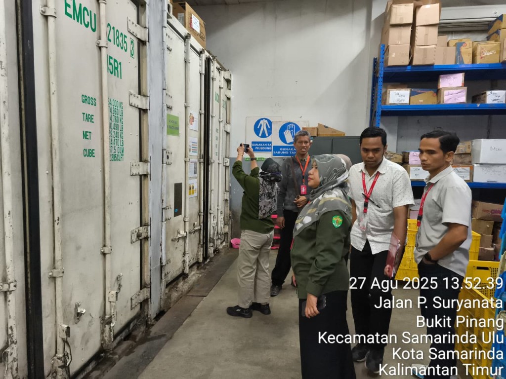 Pendampingan audit NKV