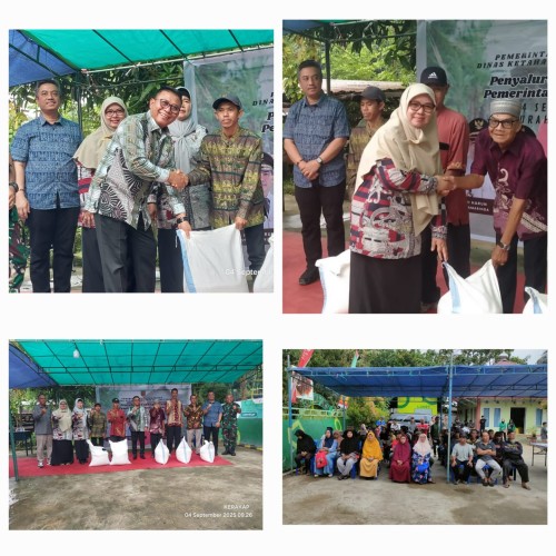 Cadangan pangan pemerintah daerah ( CPPD )