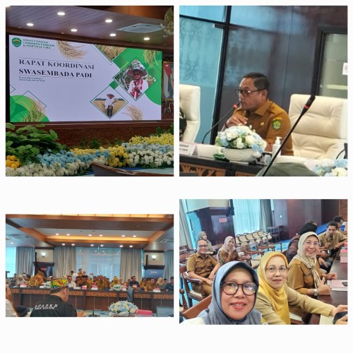 Rapat koordinasi swasembada padi Se Kaltim