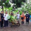 Penyerahan bantuan bibit