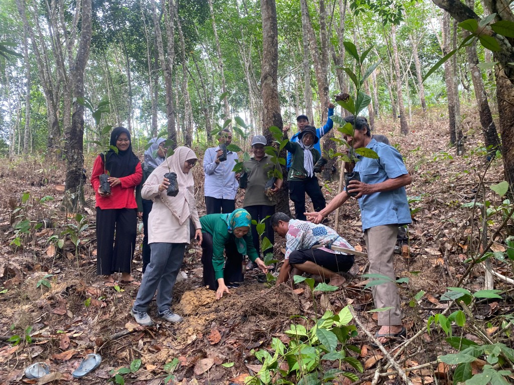 Tanam Kopi bersama kabid TPHP dengan Poktan Mitra Lestari Bantuas