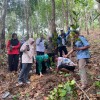 Tanam  Kopi bersama kabid TPHP dengan Poktan Mitra Lestari Bantuas