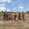 Melakukan penanaman jagung dengan alat tanam seluas 1 ha