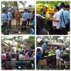 Serbu Beras SPHP