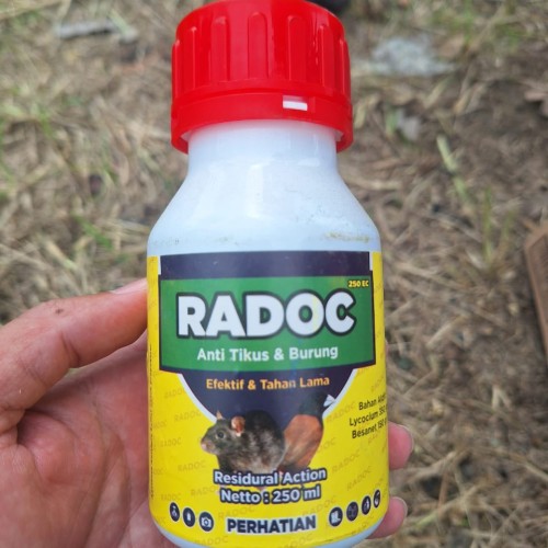Bantuan racun tikus