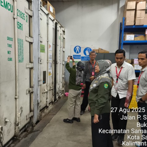 Pendampingan audit NKV