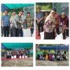 Cadangan pangan pemerintah daerah ( CPPD )