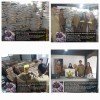 Monitoring Bantuan Pangan  ( Banpang ) P